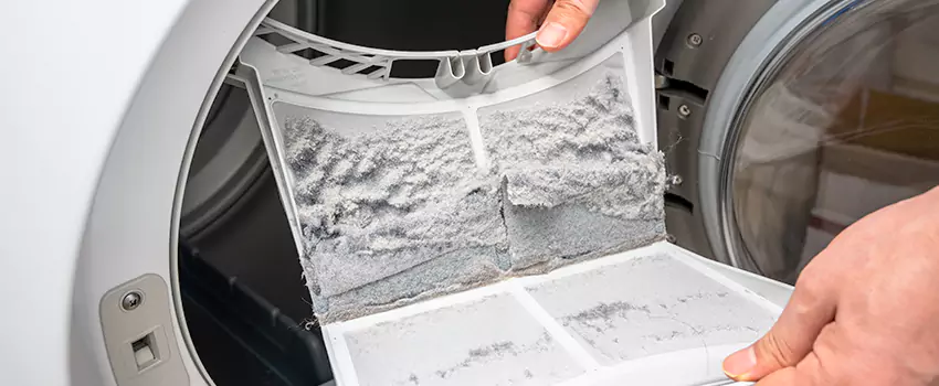 Best Dryer Lint Removal Company in Holt, Michigan