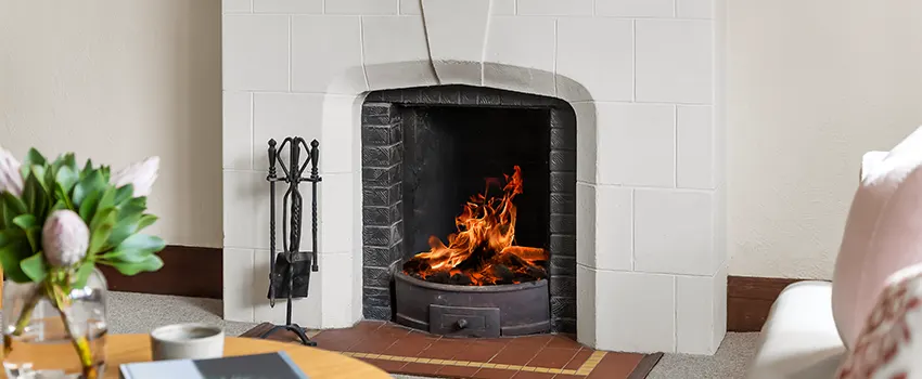 Valor Fireplaces and Stove Repair in Holt, MI
