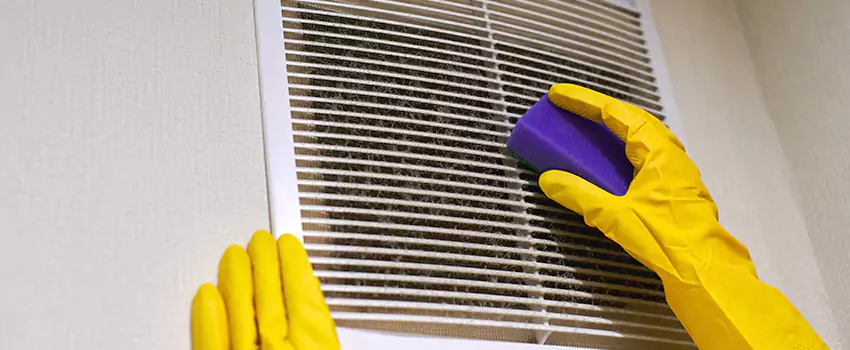 Vent Cleaning Company in Holt, MI