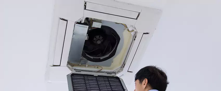 Benefits of Professional Air Duct Cleaning in Holt, Michigan