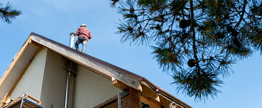 Birds Removal Contractors from Chimney in Holt, MI
