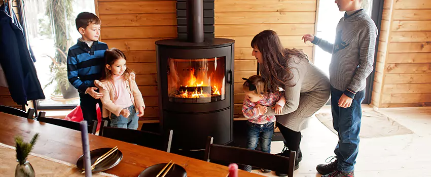 Jøtul Gas Fireplace Inspection Service in Holt, Michigan