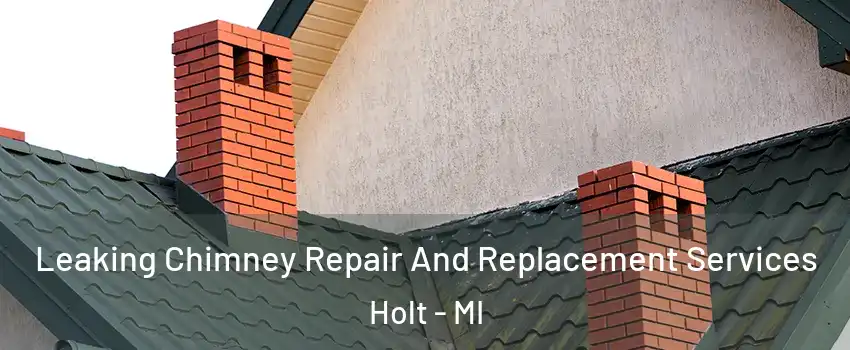 Leaking Chimney Repair And Replacement Services Holt - MI
