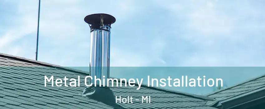  Metal Chimney Installation Holt - MI