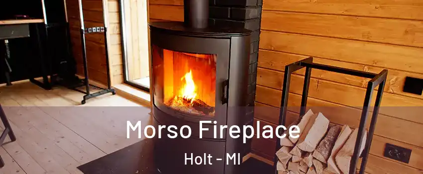  Morso Fireplace Holt - MI