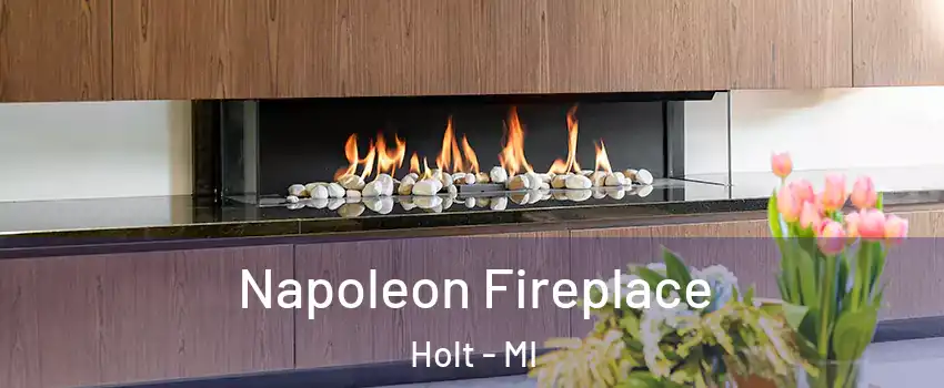  Napoleon Fireplace Holt - MI