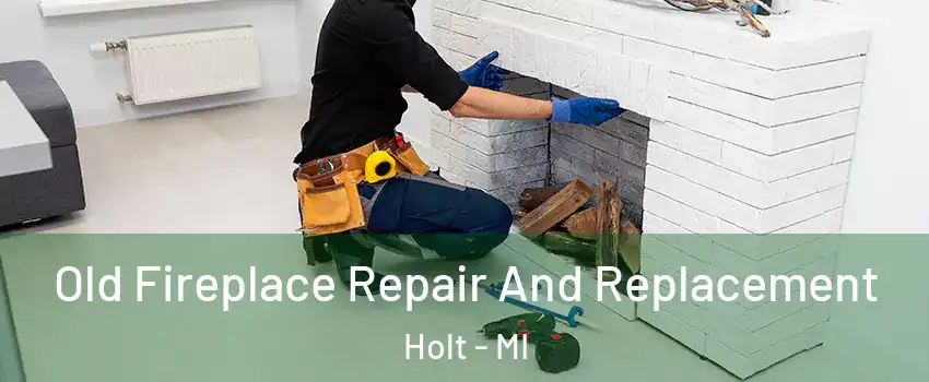  Old Fireplace Repair And Replacement Holt - MI