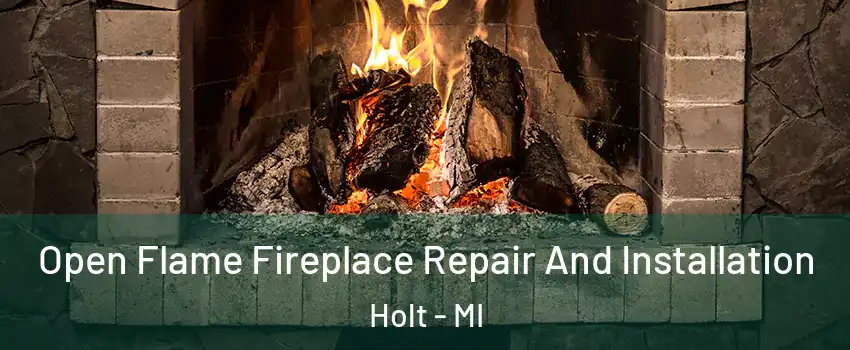  Open Flame Fireplace Repair And Installation Holt - MI