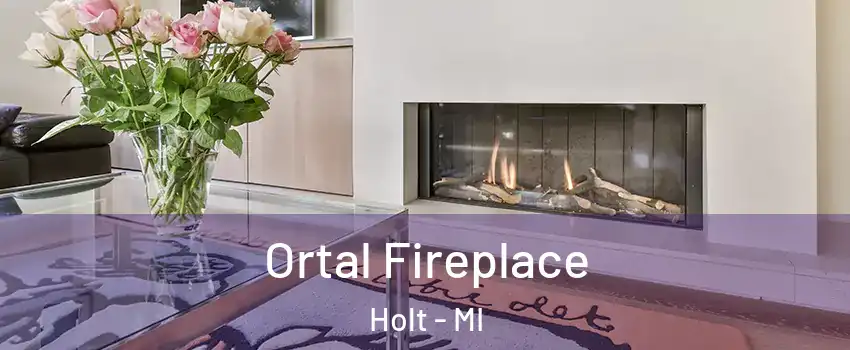 Ortal Fireplace Holt - MI