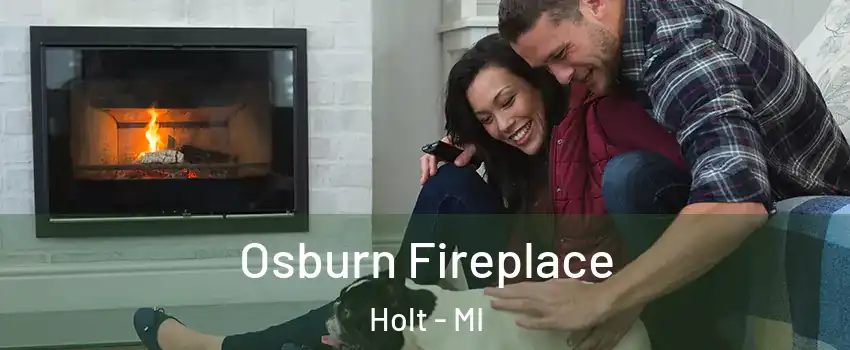  Osburn Fireplace Holt - MI