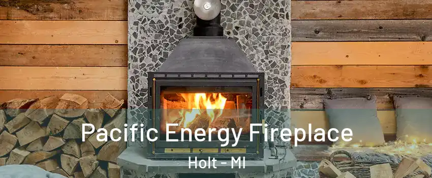  Pacific Energy Fireplace Holt - MI