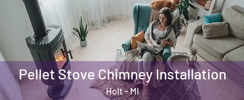  Pellet Stove Chimney Installation Holt - MI