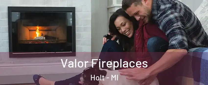  Valor Fireplaces Holt - MI