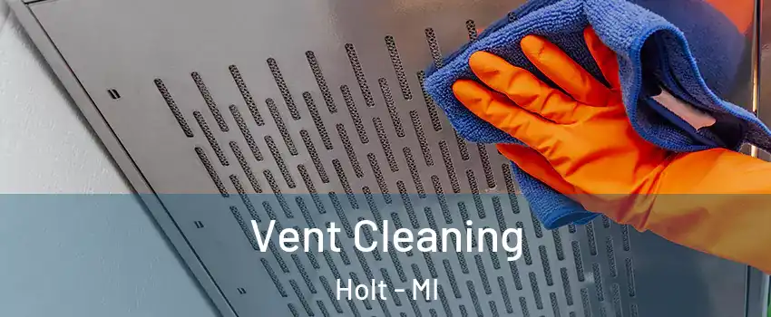  Vent Cleaning Holt - MI