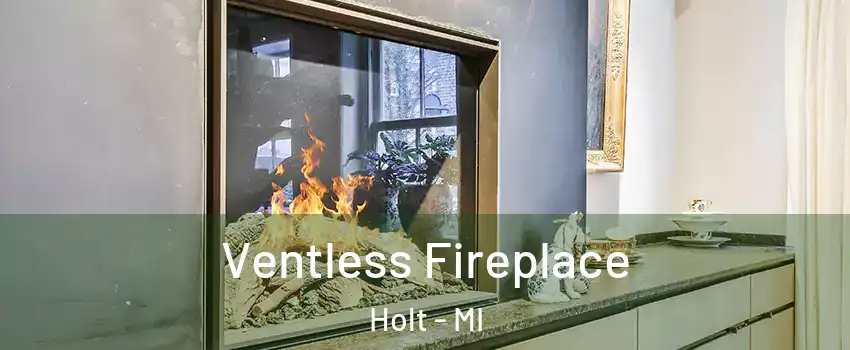  Ventless Fireplace Holt - MI
