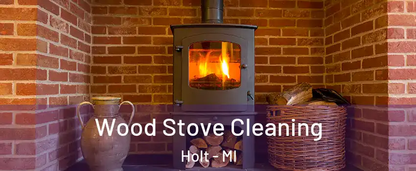  Wood Stove Cleaning Holt - MI